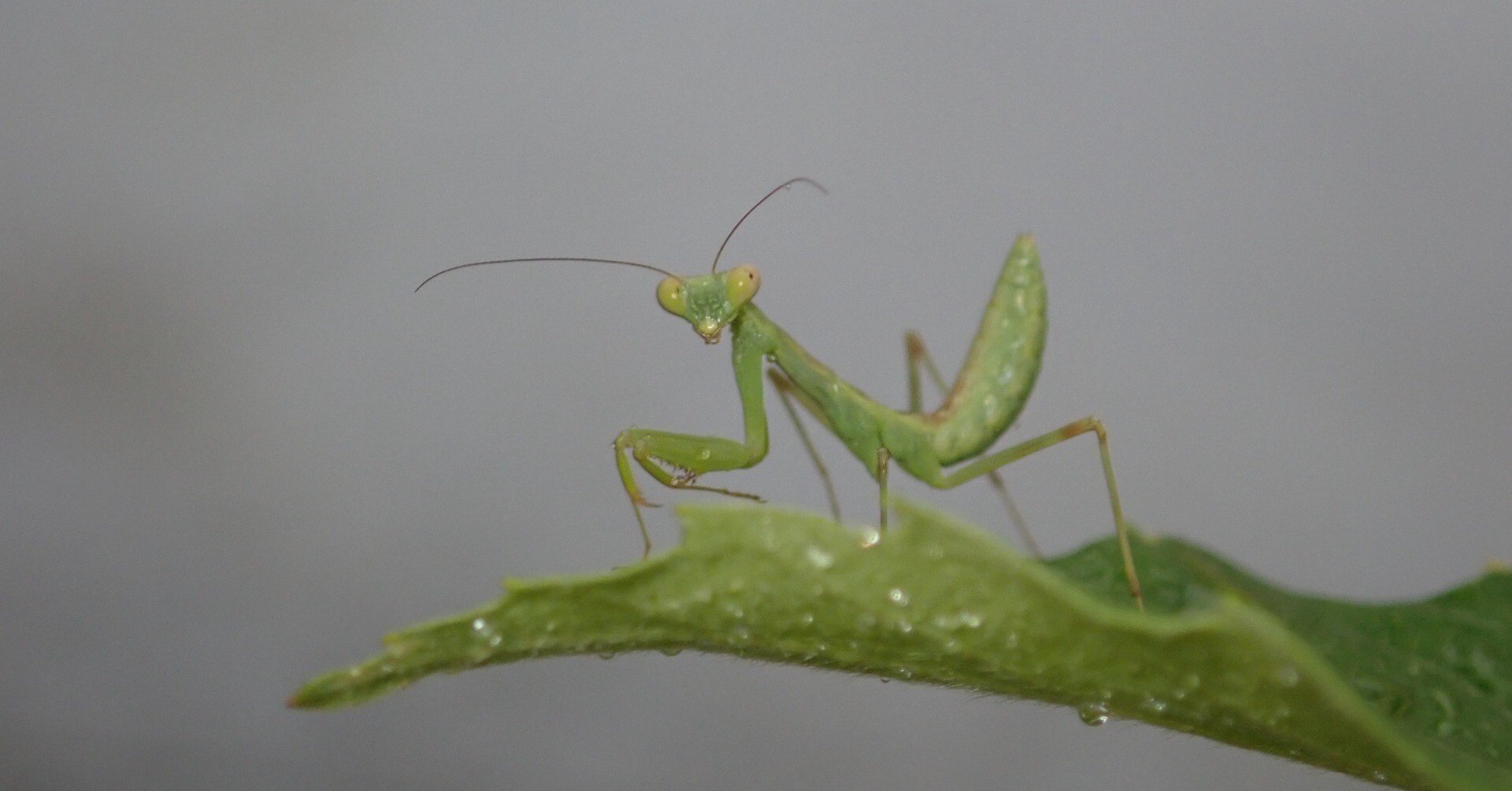 0b08cf28ac87a2bd71876e0cf6ef01