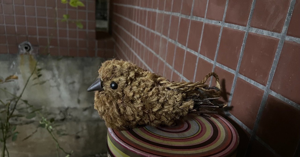 ケッチーさんの話|roco* |note