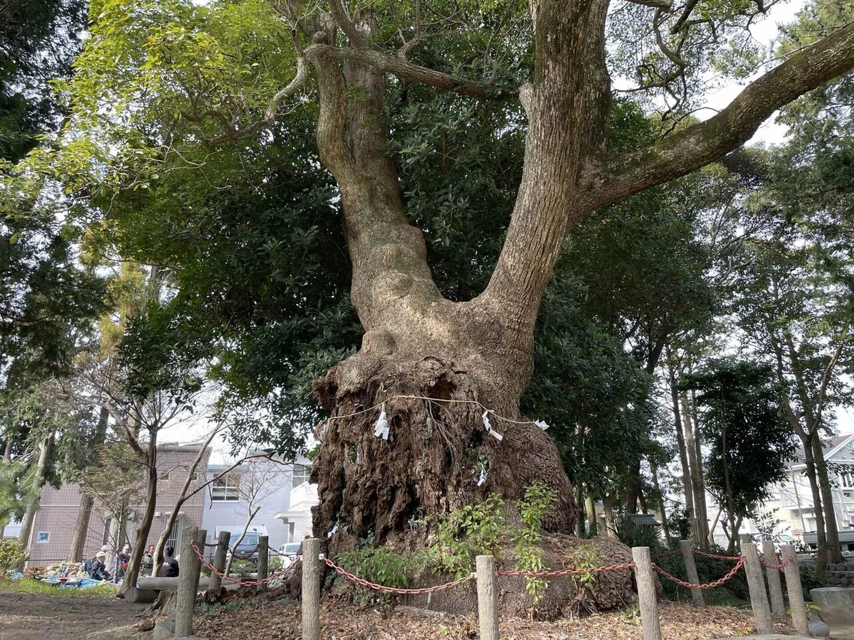 画像