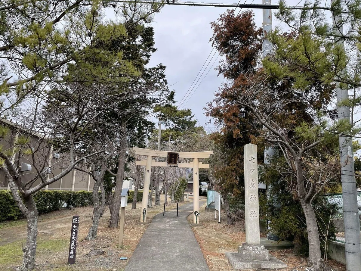 画像