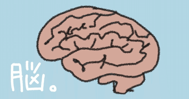 【メルマガアーカイブ】#27 脳みそスパーク！！～『自由人の脳みそ』