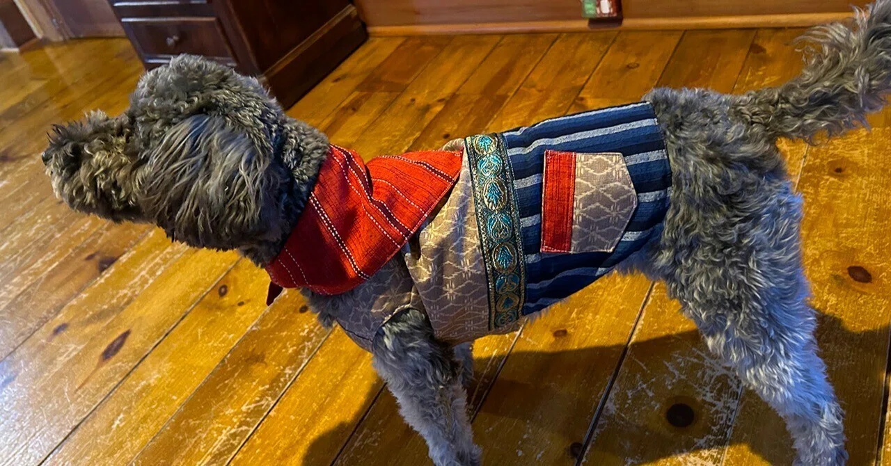 わんこたちと”手作り暮らし”〜 リバーシブル犬服で楽しむ・着物
