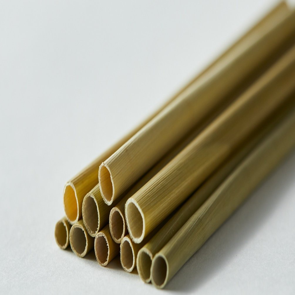 【現地球】コミフォラモンストローサ　国内管理５年目　発根済み シリーズ SDGsの実践者たち＞ 第18回 脱プラスチックのきっかけを