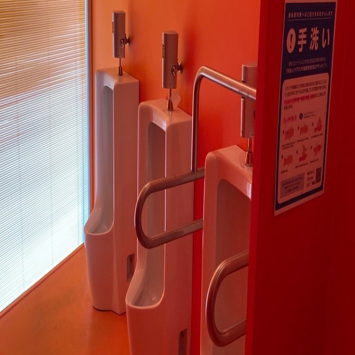 うん！このトイレは面白い！アートなトイレ in まつだい農舞台｜猫太郎