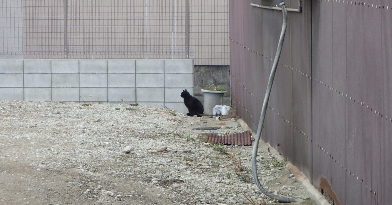 ねこラジオ』全作解説＋目次｜北野勇作