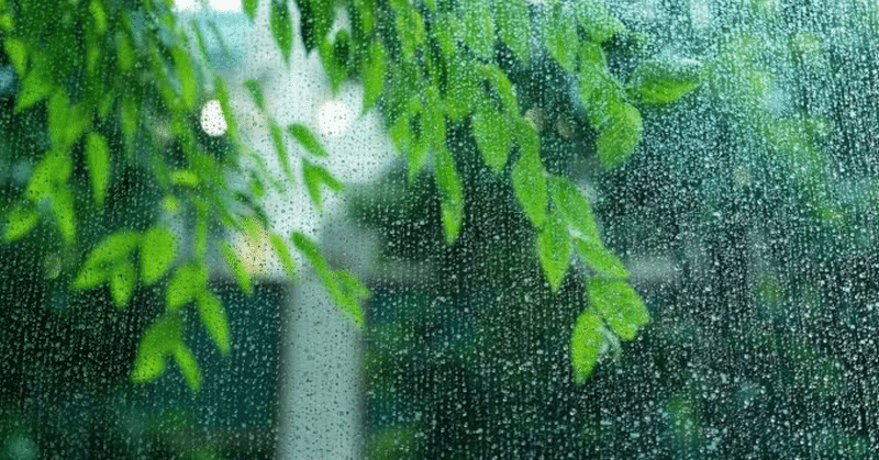 【空間快楽】雨の日