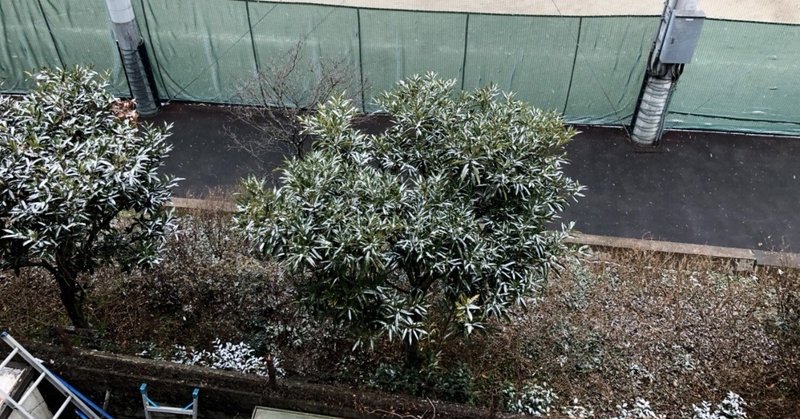 丁寧な生き方をしている人は 文体も丁寧な気がしている 写真家 mr portrait 青山裕企 note