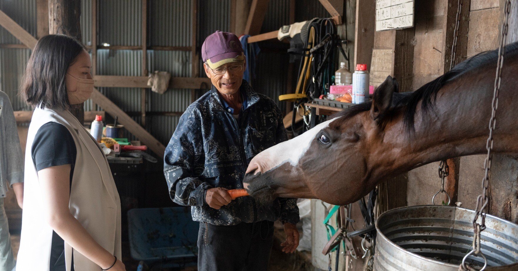 61b7aa3223f07e4f44267463dde4b4