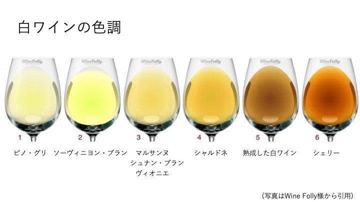 明日から使えるワイン講座 実践編i テイスティング理論 Kei Wine Note