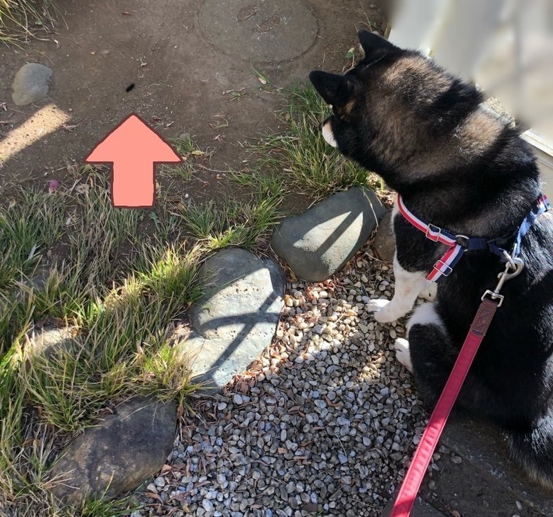 犬vs虫 Yuricorn Note