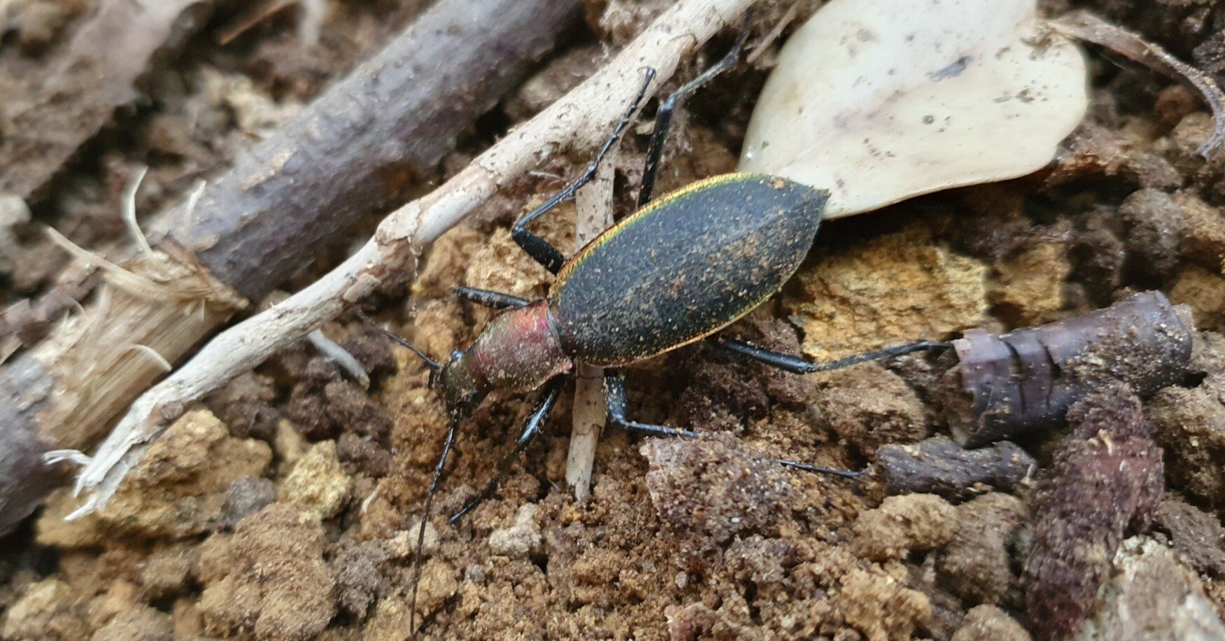 a41018579b8525ef4735341b392048