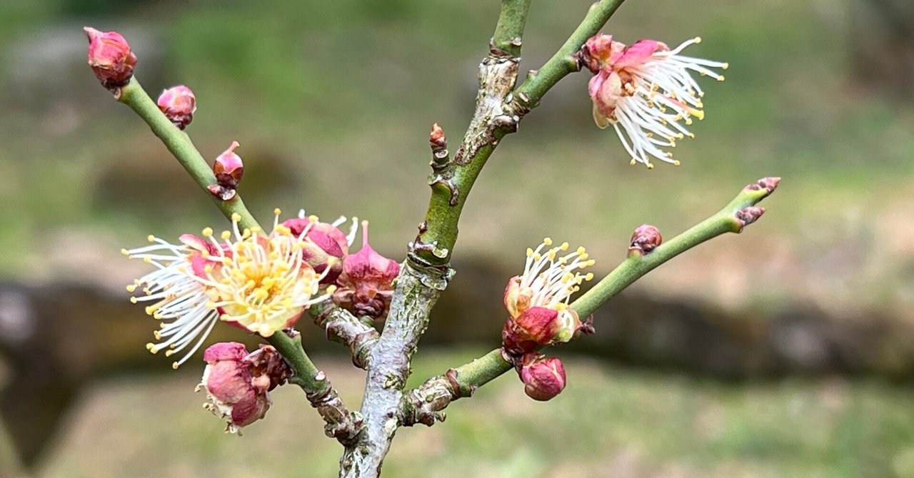 rectangle_large_type_2_044650b rectangle_large_type_2_044650b