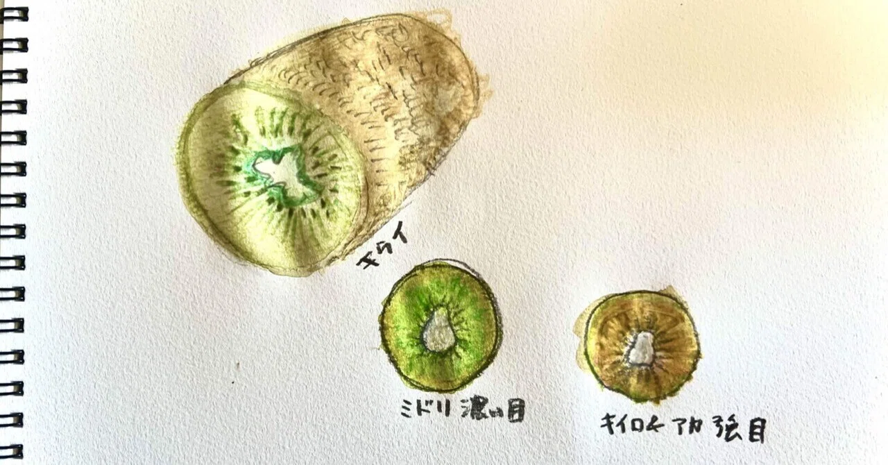 てんき様連絡用　キウイ　穂木 てんき様連絡用 キウイ 穂木 てんき様連絡用 キウイ 穂木 てんき様