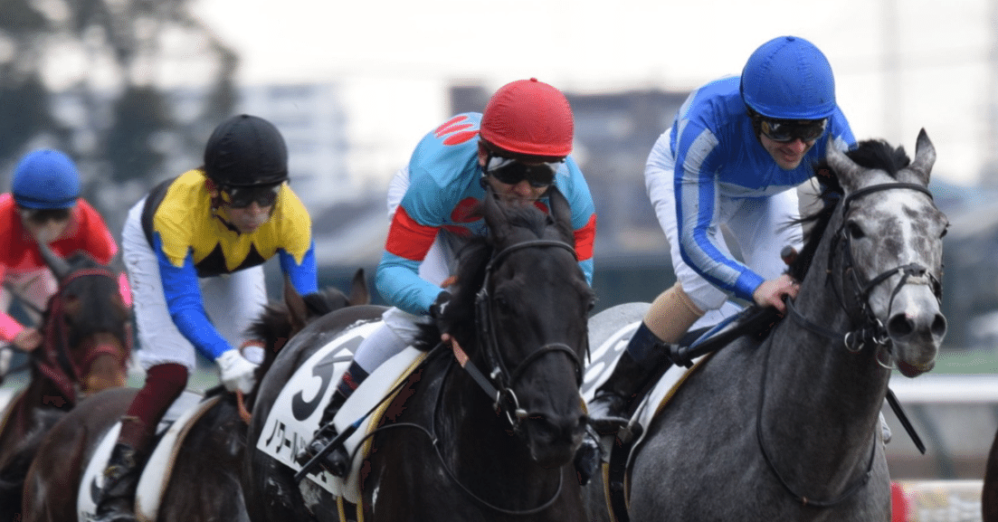 盗まれた馬 重賞回顧］マジックマンと夢を掴んだサトノレーヴが、秋の雪辱を果たす