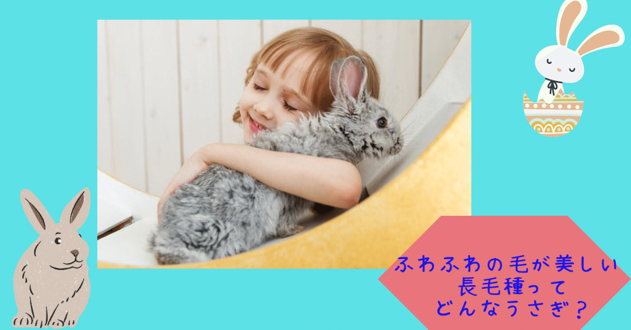 rectangle_large_type_2_eb51a99