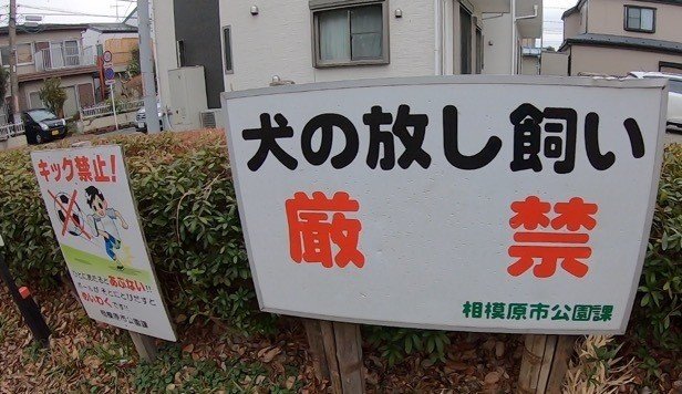 禁止だらけ｜zaki(いしざき)