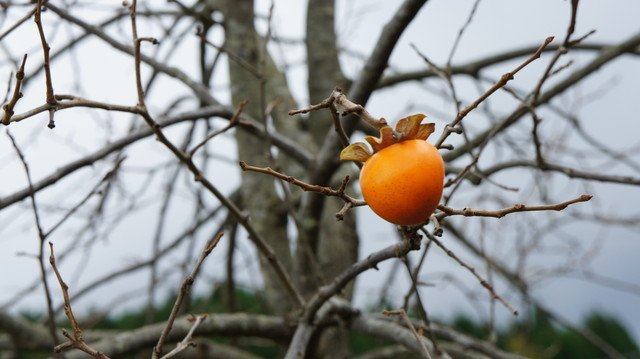 一人ぼっち。