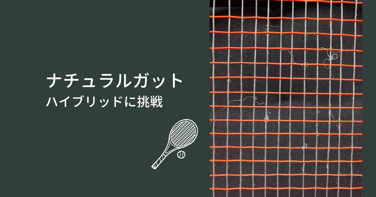 【1度のみ使用】REGNA100 G3 ナチュラルハイブリッド ナチュラルとポリエステルのハイブリッド張りを試してみる。良い打感と