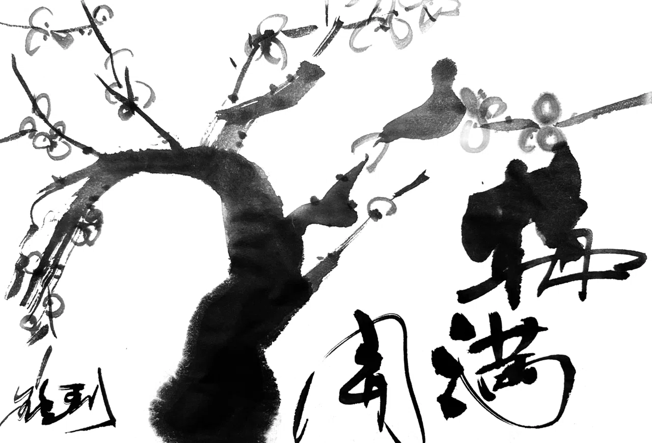 一日一書 梅満開|前田鎌利(MAEDA KAMARI)