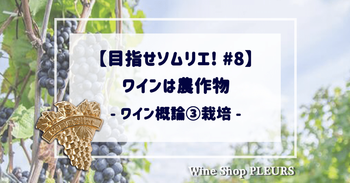 ワイン用葡萄ガイド―MW(マスター・オブ・ワイン)ジャンシス ワイン用葡萄ガイド―MW(マスター・オブ・ワイン)ジャンシス