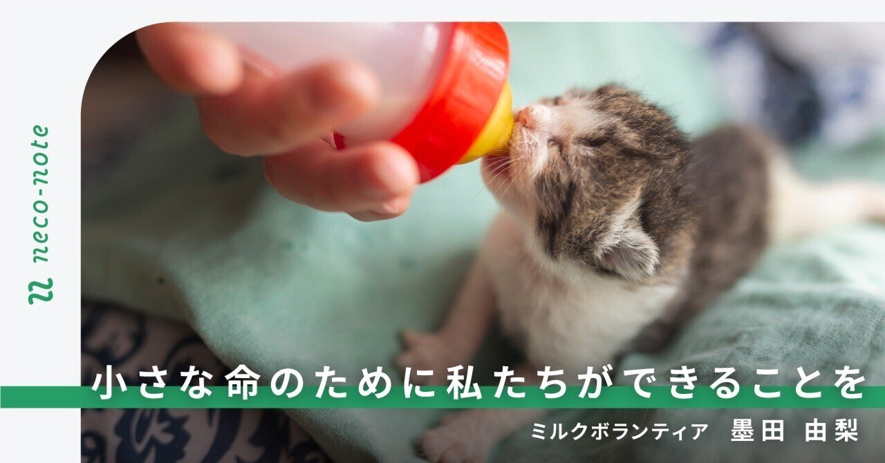 お年賀出品 ねずみが猫のミルクを飲む 幸運と富の御守り