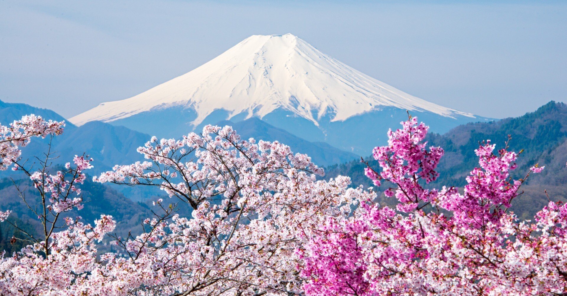 木花佐久夜毘売命（このはなさくやびめのみこと）木花咲耶姫