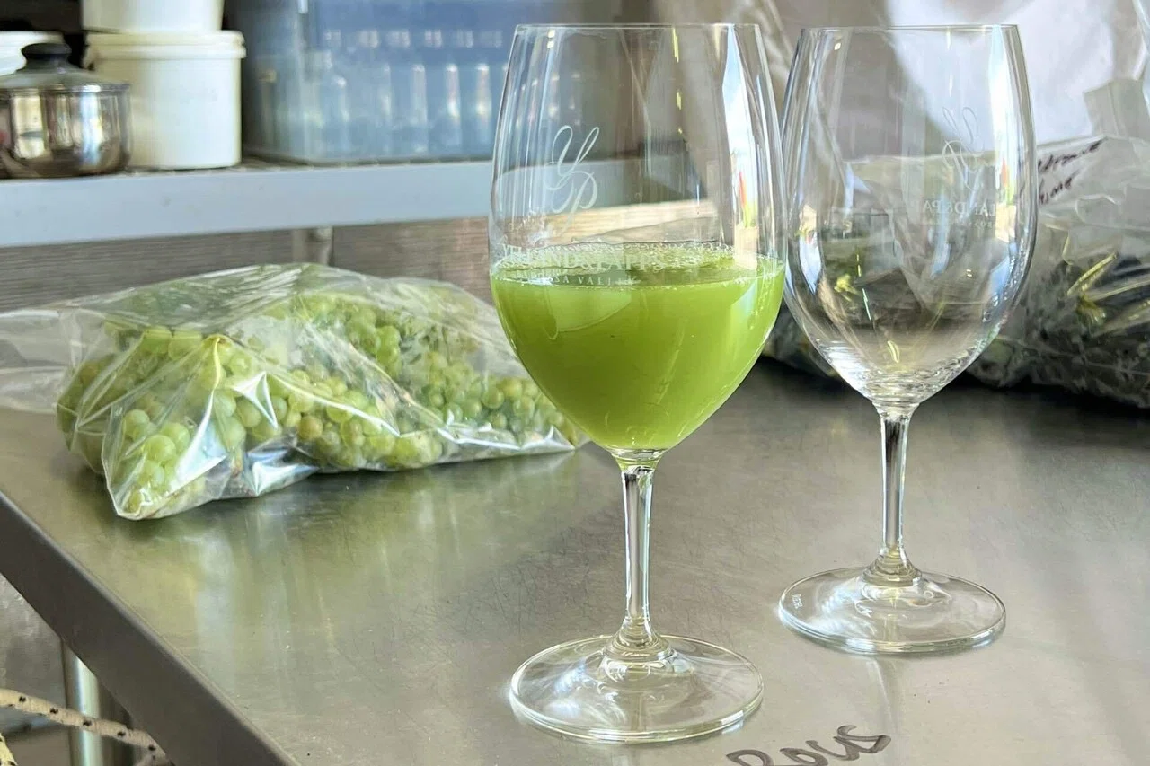 Grape Sampling｜史
