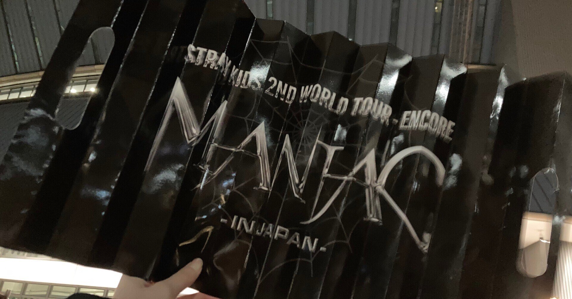 てひょん様用　Stray kids スキズ　MANIAC フーディアンコン　XL てひょん様用 Stray kids スキズ MANIAC フーディアンコン XL