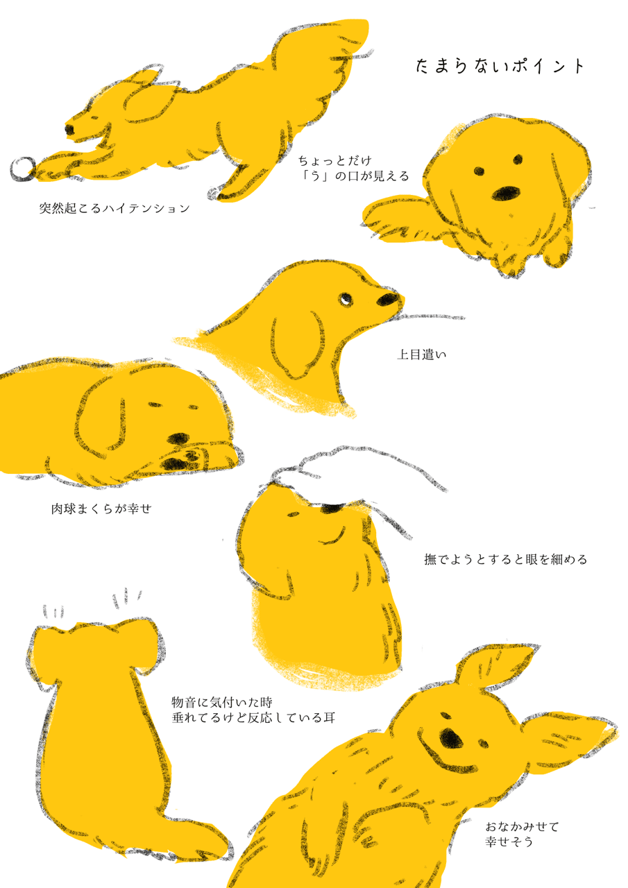 犬の可愛いポイント ももろ Illustrator 絵本 Note