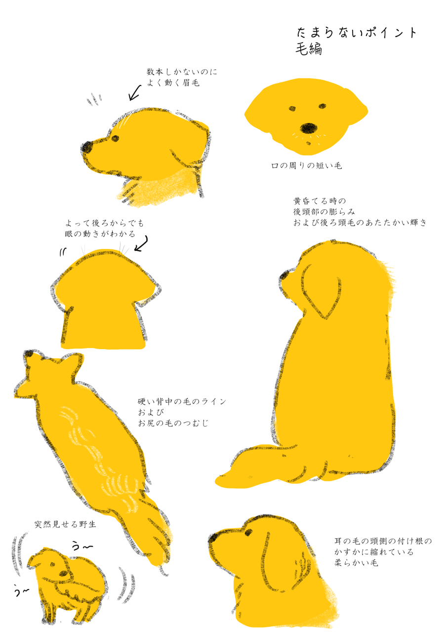 犬の可愛いポイント ももろ Illustrator 絵本 Note