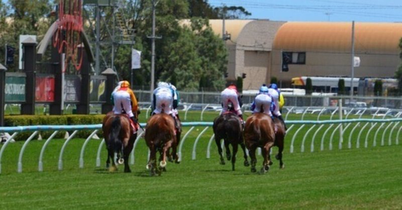 ＜レース結果＞　　2月26日（日）　厳選馬６頭