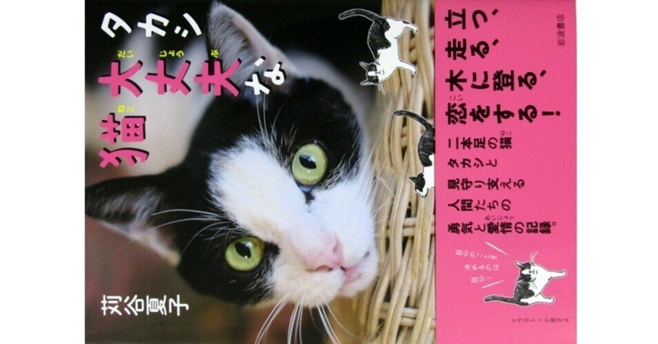 タカシ 大丈夫な猫』(苅谷夏子・岩波書店)｜たかぱん