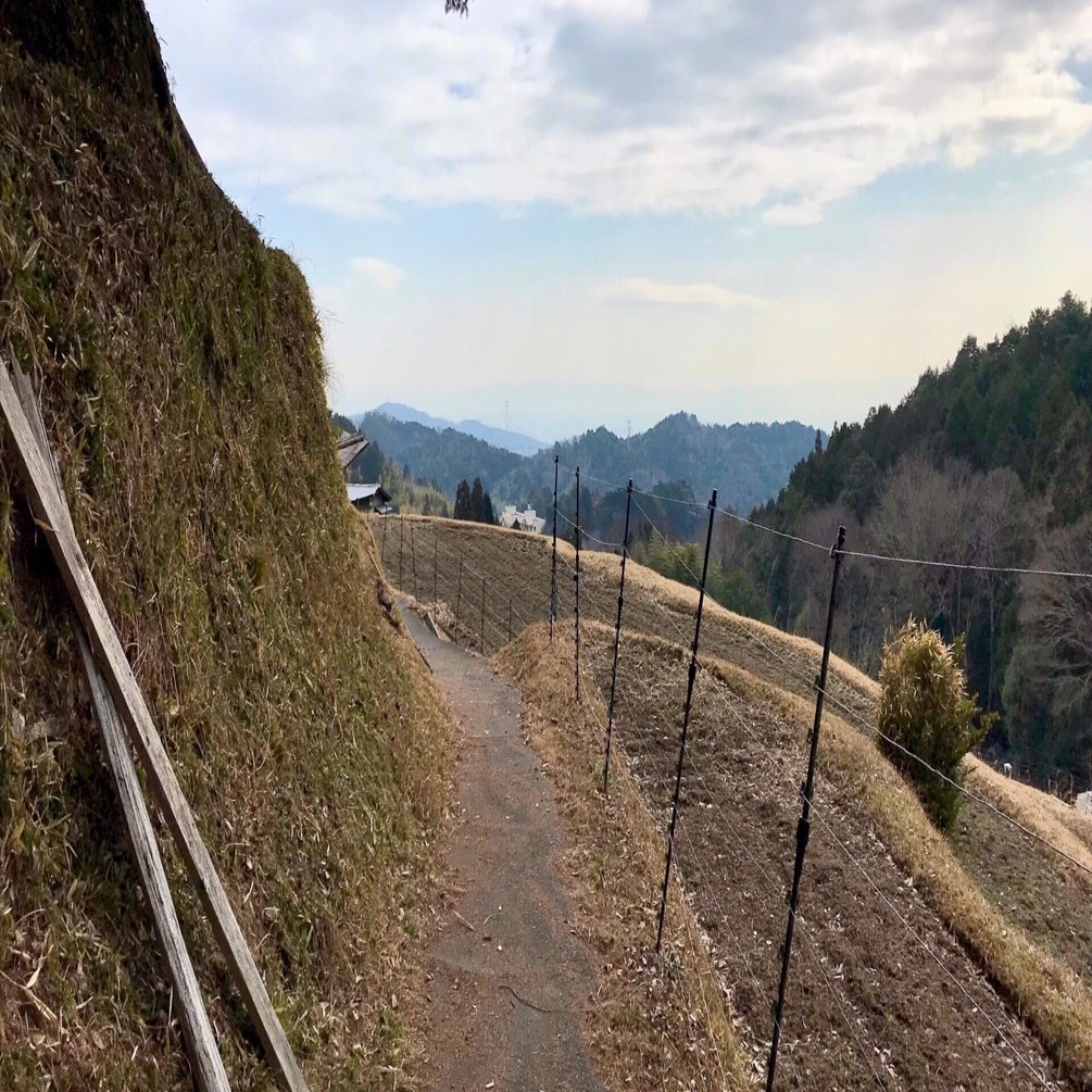 東海自然歩道_1｜西起点の箕面から摂津峡へ｜かぼちゃかべ