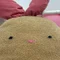 とめへい