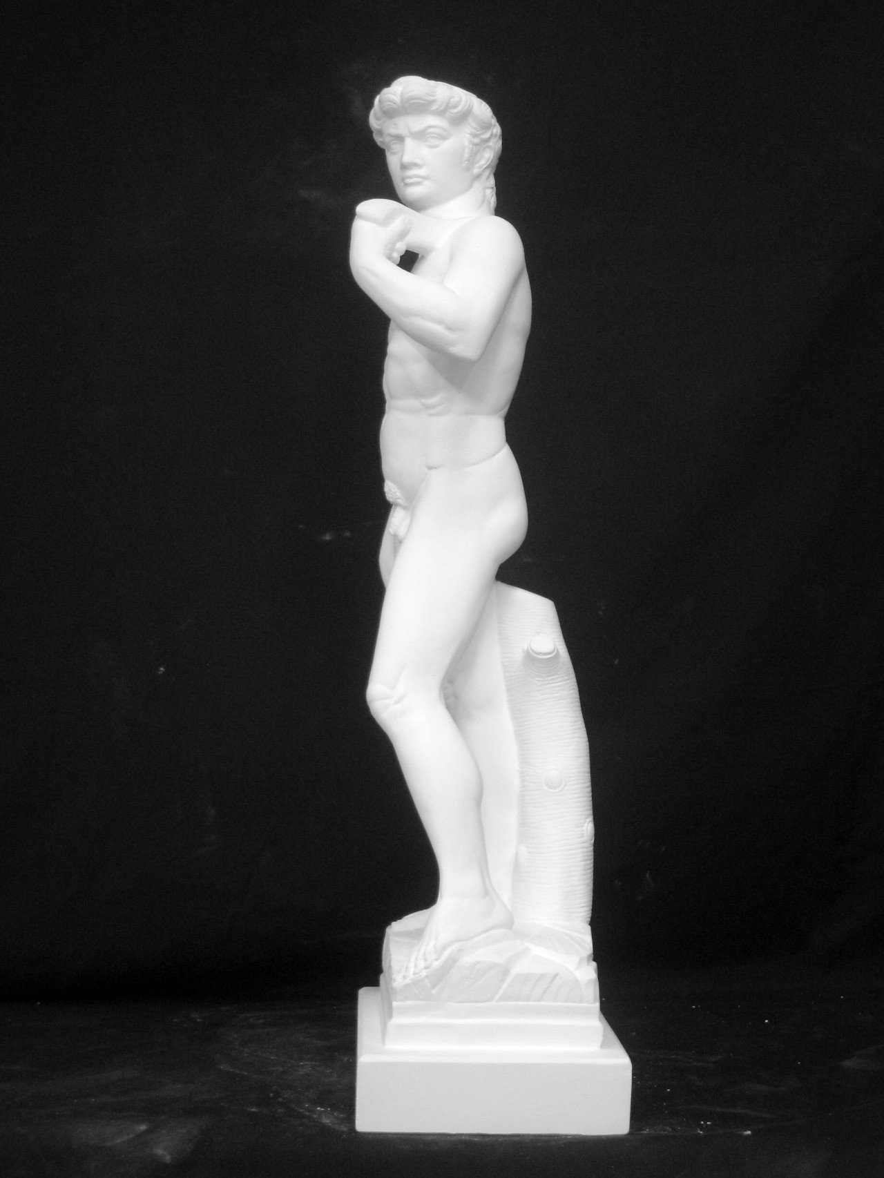 N-007 ダビデ全身像｜石膏像ドットコム（脇本）