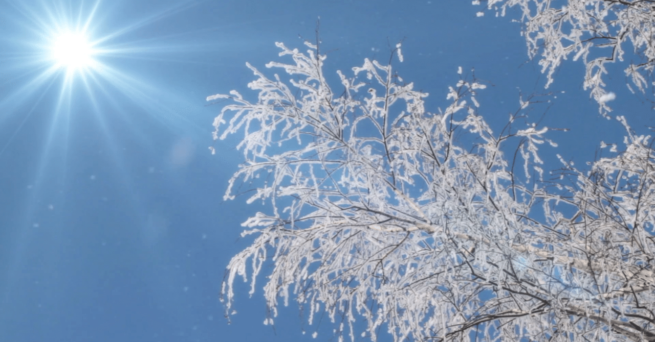 5 花びらの舞い散るように落ちる雪 Takafumi Ito Note 5 花びらの舞い散るように落ちる雪 Takafumi Ito Note