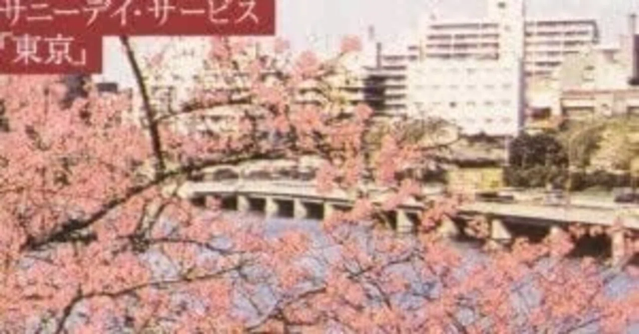 東京 / サニーデイ・サービス｜スノーウィの戯言