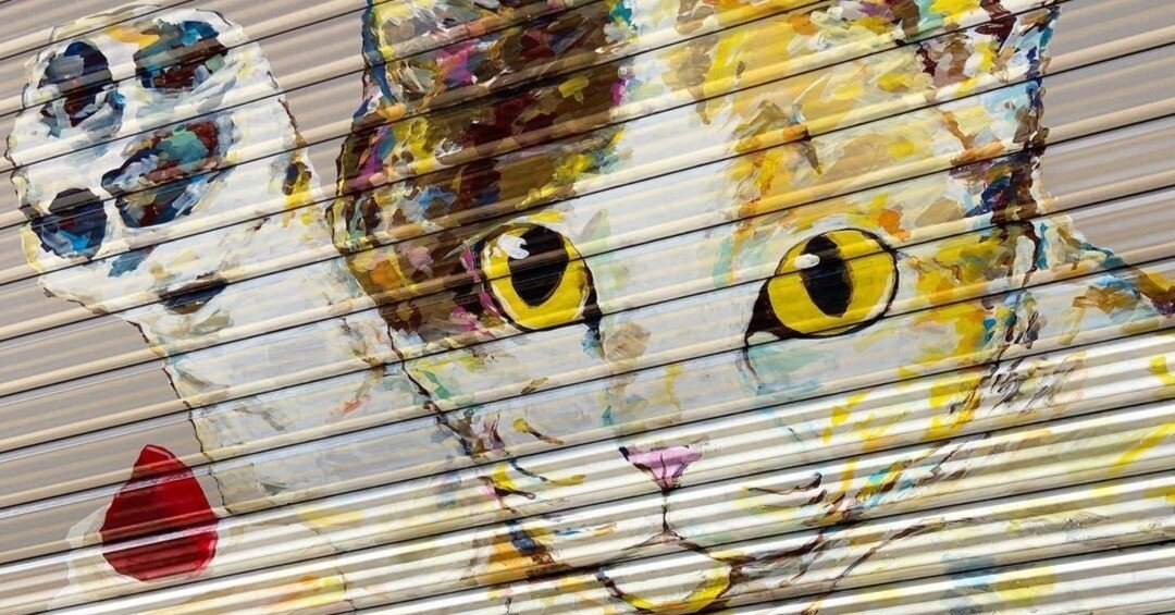 a6618f84224e8aac6492e6dbd10a4c