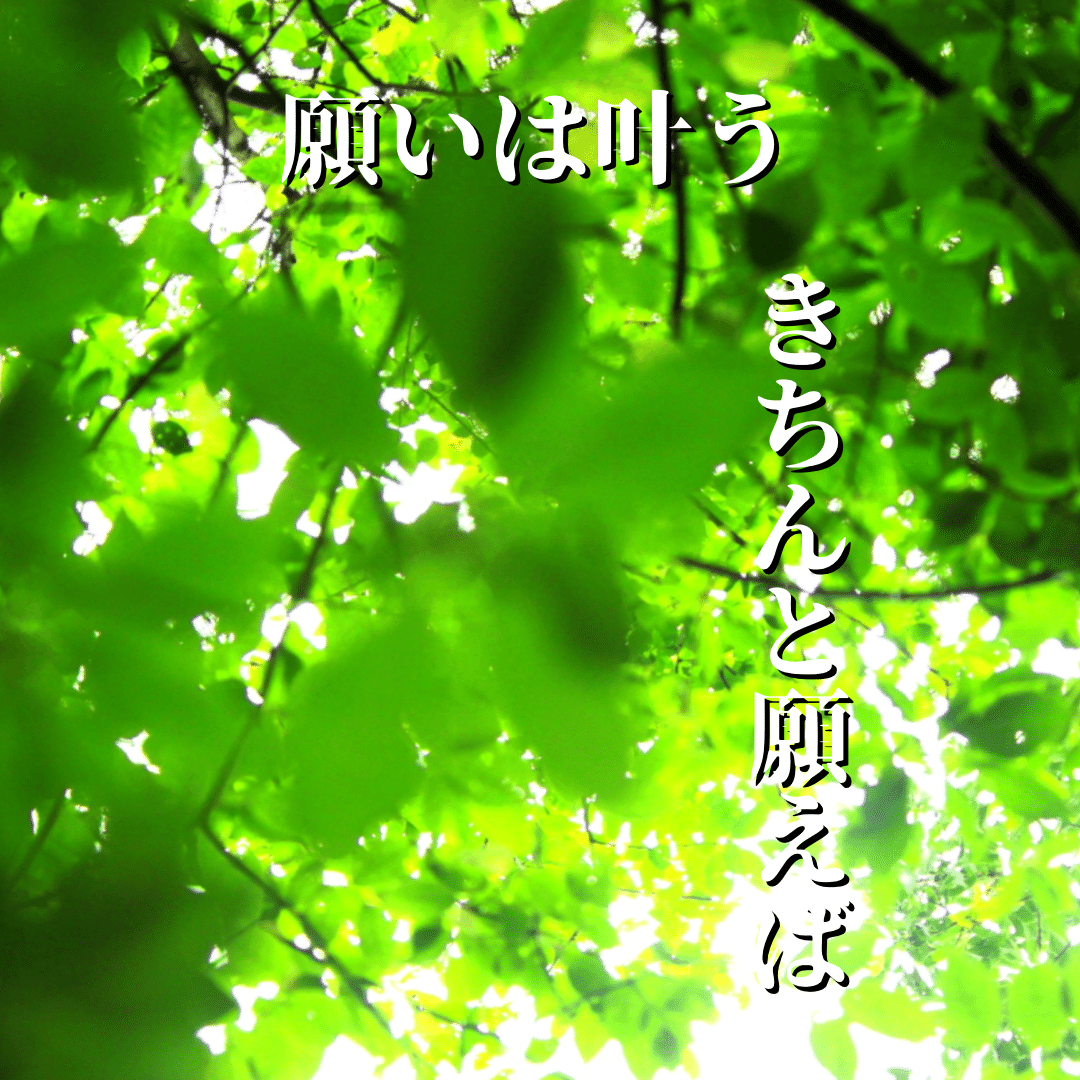 願いは叶うと思います。 ほとんどの「叶わなかった願い」は 自分が「叶わなくなる行動」を とった結果で ある意味、願いは叶っているわけで