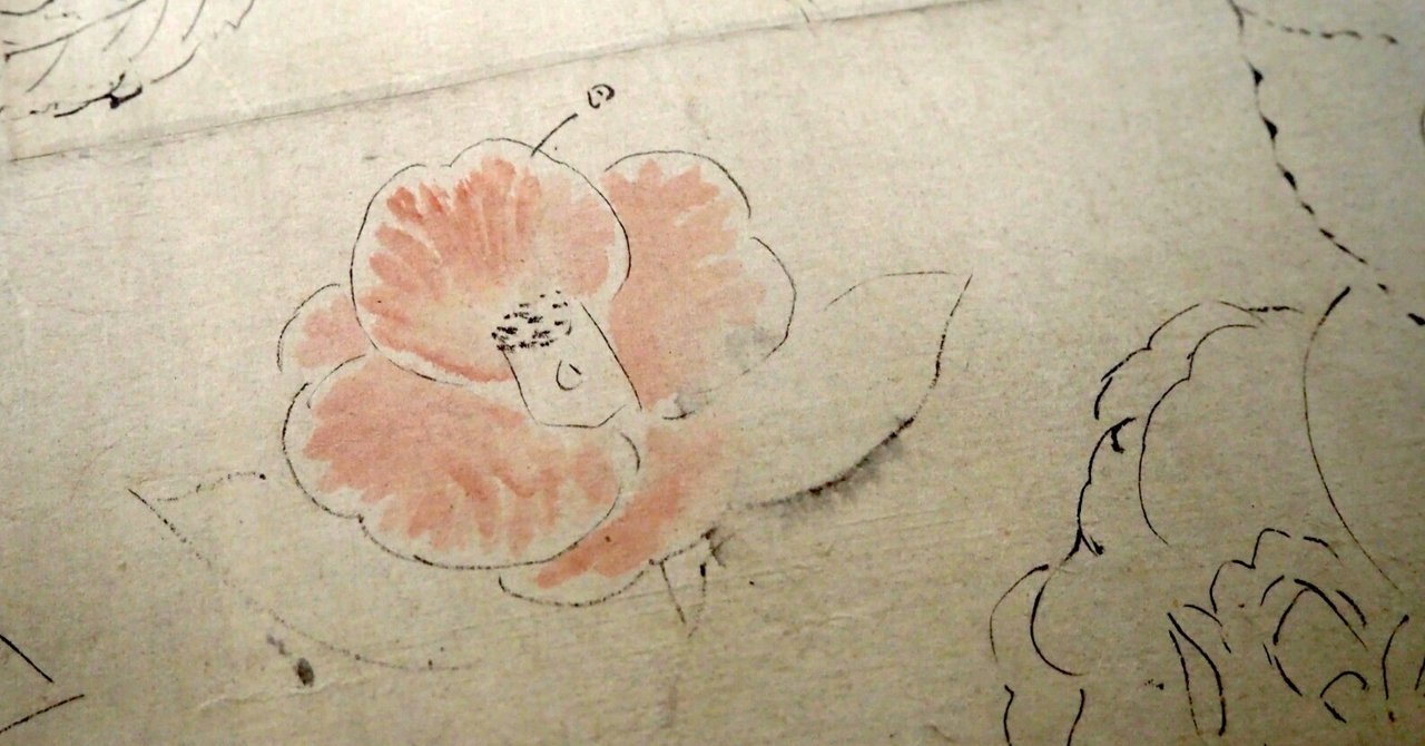 狩野探幽の草花のスケッチ@東京国立博物館｜かわかわ