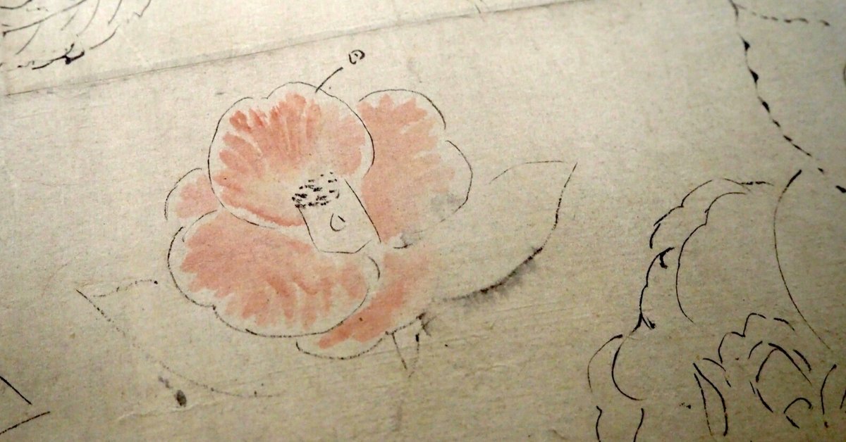 パリコレクション 狩野探幽の草花のスケッチ@東京国立博物館｜かわかわ 絵画