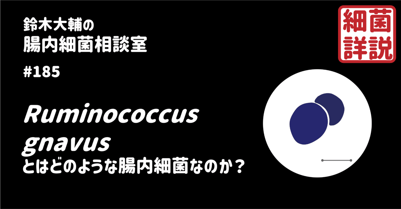 #185 Ruminococcus gnavusとはどのような腸内細菌なのか?|腸内細菌相談室