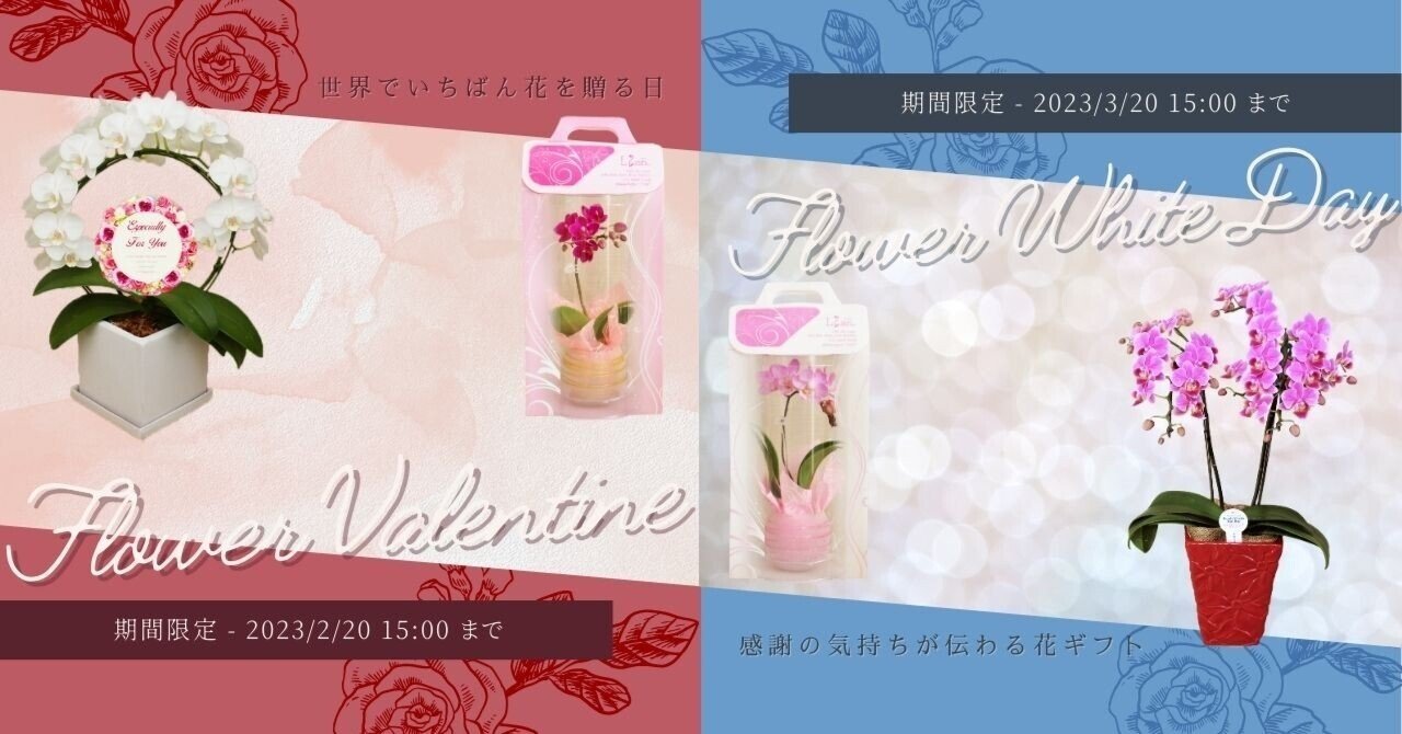 世界でいちばん花を贈る日inフラワーバレンタイン・ホワイトデー@胡蝶