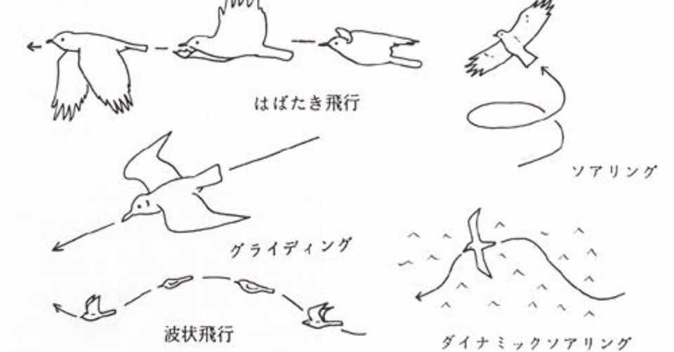 第38回 野鳥の飛行方法 翆野 大地 Note
