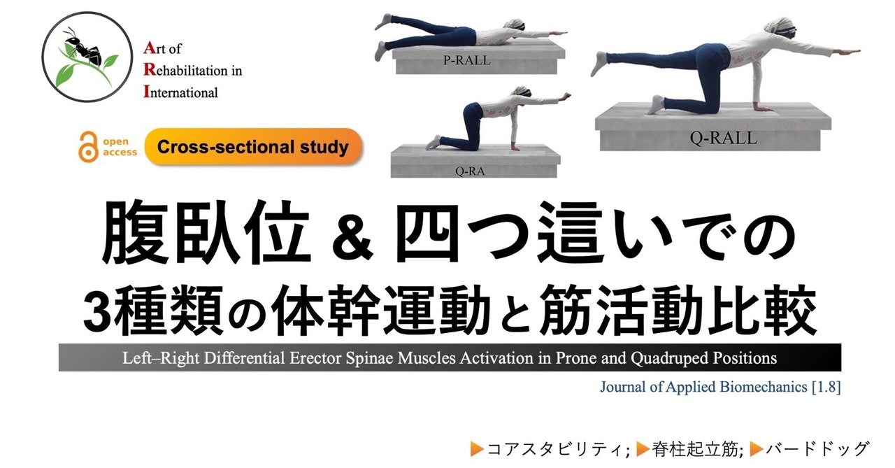Amazon.co.jp: Muscle Pain Relief:MPR－上肢・体幹・下肢への