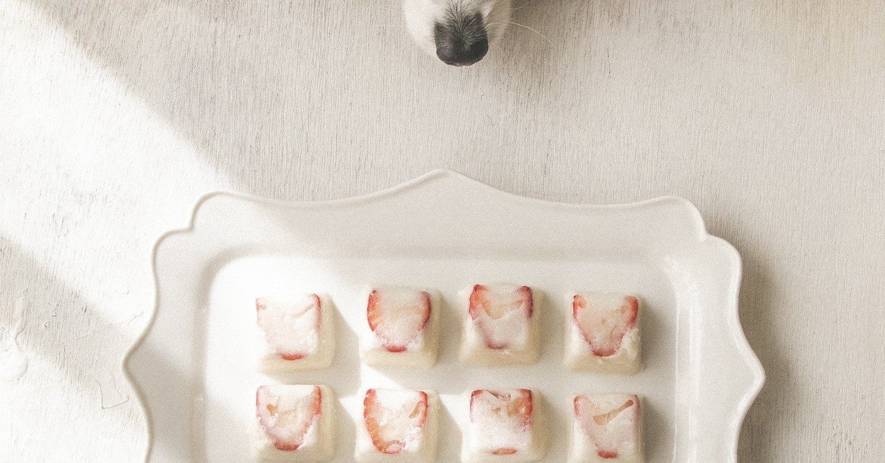 ストレスケアにも 製氷皿で作るぷるぷるいちごヨーグルトゼリー 手作り犬おやつレシピ いちかわあやこ 犬ごはん先生 Note