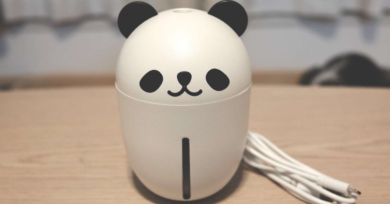 DSCF0825のコピー