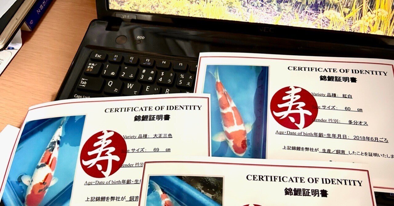 My HOME MADE 証明書作成サービス！｜Toshio koi info