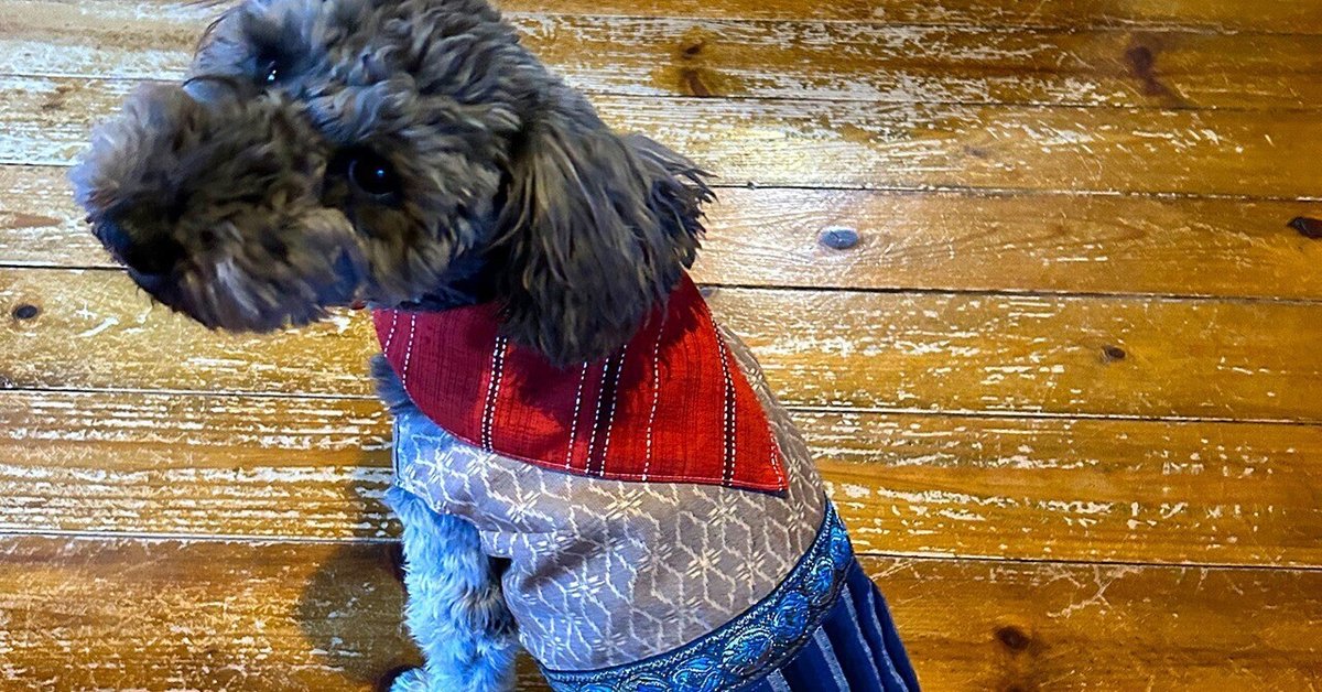 わんこたちと”手作り暮らし” リバーシブル犬服の作り方・着物