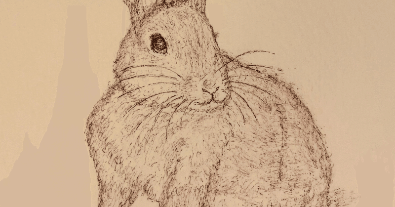 生きにくい片耳ウサギの物語